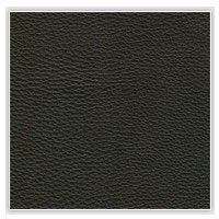 synthetic leather upholstery